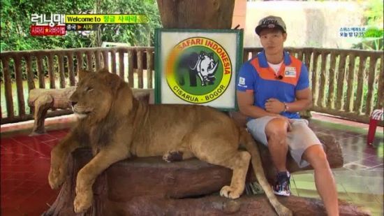Kim Jong Kook dan singa di Taman Safari Bogor